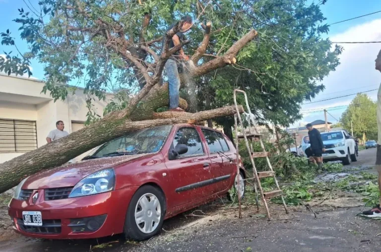 Más de 100 vehículos destrozados, antenas caídas y radios fuera del aire tras el temporal en Santa Rosa