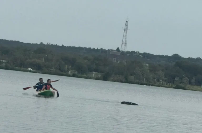 Conmoción en la capital pampeana: hallaron el cuerpo de un hombre en la laguna Don Tomás