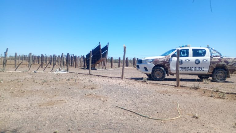 Algarrobo del Águila: reconocieron sus animales en un remate y se desató un amplio operativo con detenidos