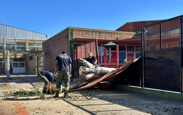 La tormenta que sorprendió a Santa Rosa: “Nunca había visto algo así”, aseguró David García, de Defensa Civil