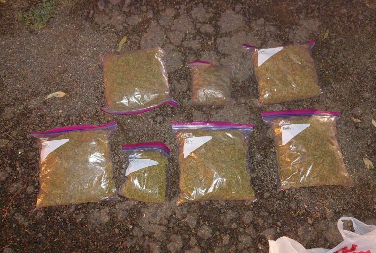 Desbarataron una organización narco en Realicó con conexiones en Córdoba: hay nueve detenidos
