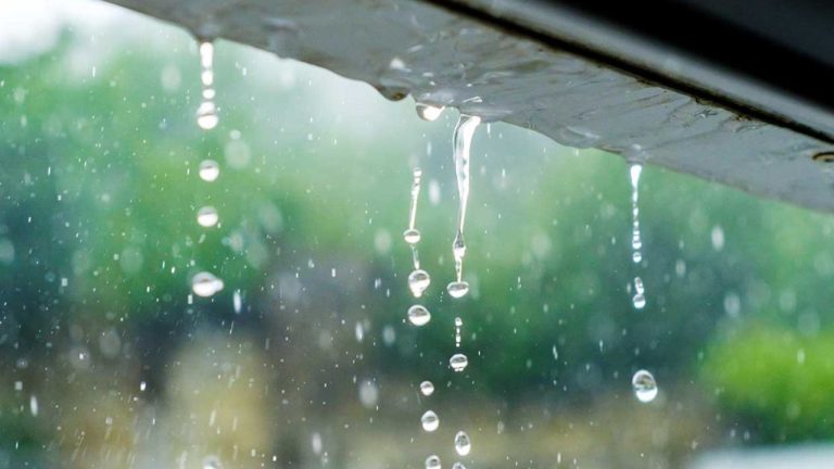 Datos de lluvia en La Pampa: Limay Mahuida registró la mayor marca con 53 milímetros