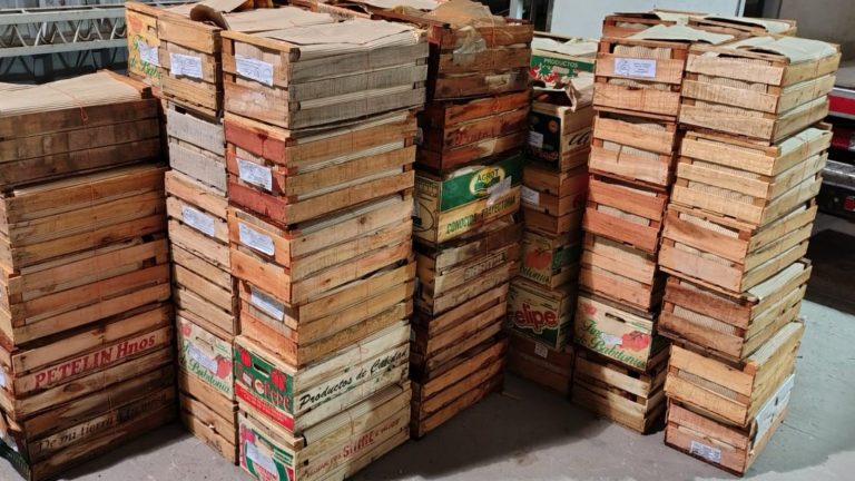 El SENASA donó más de 1.300 kilos de frutas decomisadas al municipio de Abramo