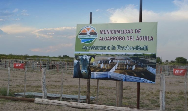 Abigeato en Algarrobo del Águila: tres detenidos con prisión preventiva tras ser descubiertos en un remate por YouTube