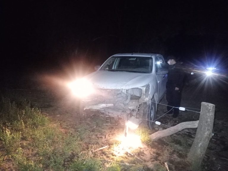 Persecución y choque en Maisonave: un empleado rural le robó la camioneta y cuatro terneros a su patrón