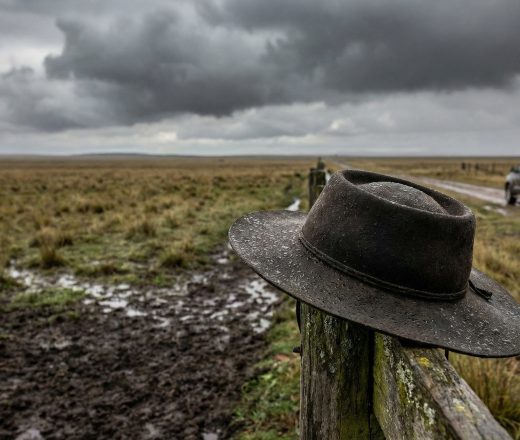 Lluvia en La Pampa: Victorica fue la localidad con más agua y en General Pico cayeron 8,6 milímetros (Imagen ilustrativa IA - infopico.com)