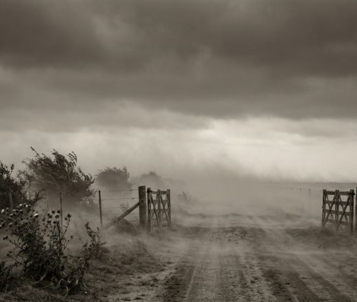 Llega el "Pampero": ráfagas de 80 km/h, tormentas en el centro-sur y marcado descenso térmico (Imagen ilustrativa IA - infopico.com)