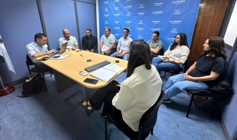 Determinaron cambios en el calendario de vacunación antiaftosa
