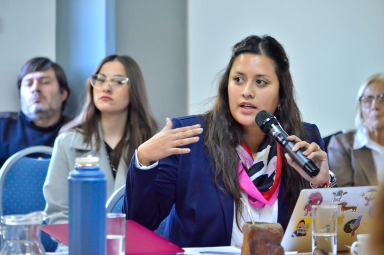 Viara criticó el discurso de Ziliotto: “Es un modelo agotado que cada vez nos cuesta más caro”