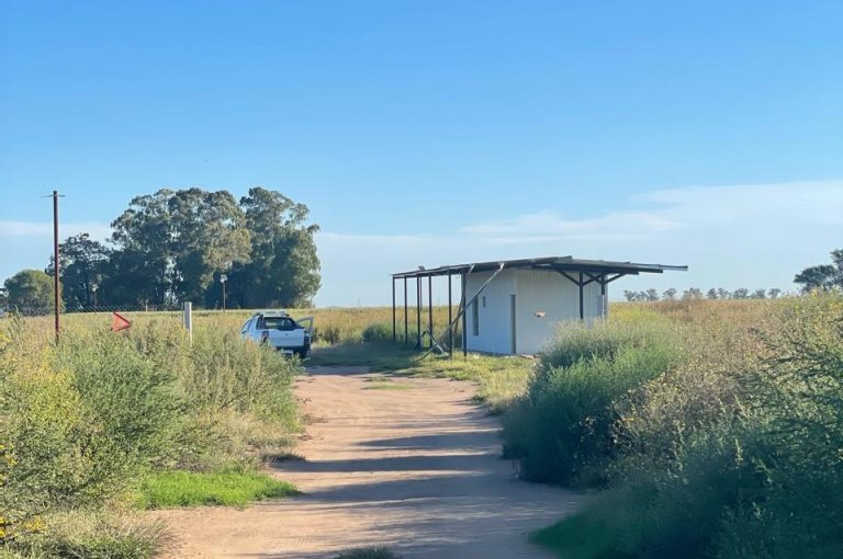 Demoran a dos personas con amplios antecedentes por el robo de aberturas en la zona de la Avenida Isidoro Brunengo