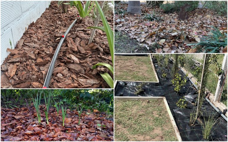 La técnica del ‘mulching’: Jimena Asquini explica cómo proteger el jardín del frío y ahorrar agua