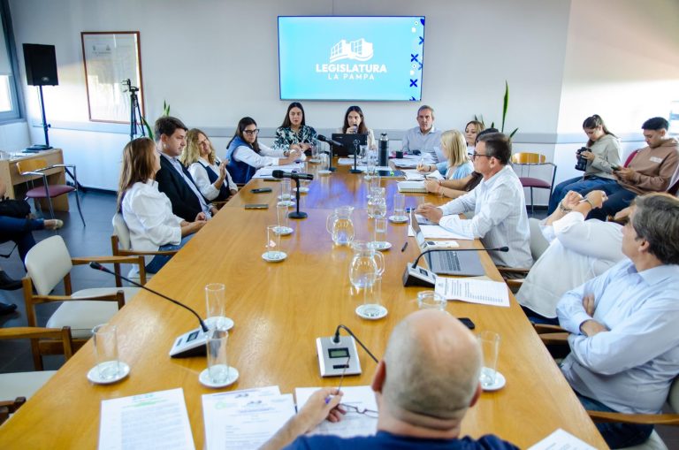 La Comisión de Legislación General avanzó con reconocimientos al deporte y la cultura de La Pampa