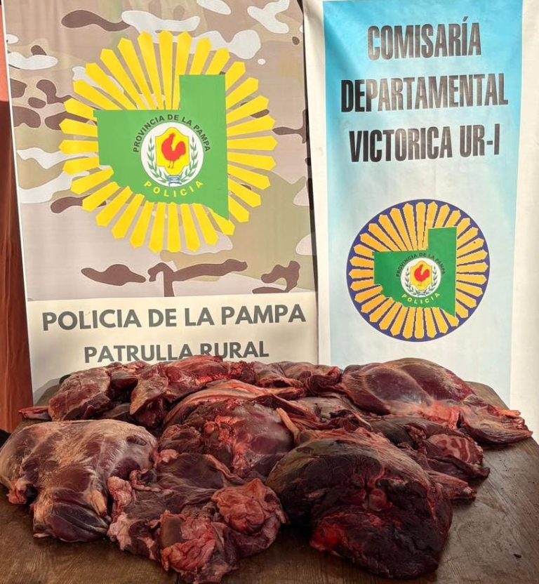 Persecución y detención en Victorica: secuestraron armas, carne de caza furtiva y drogas