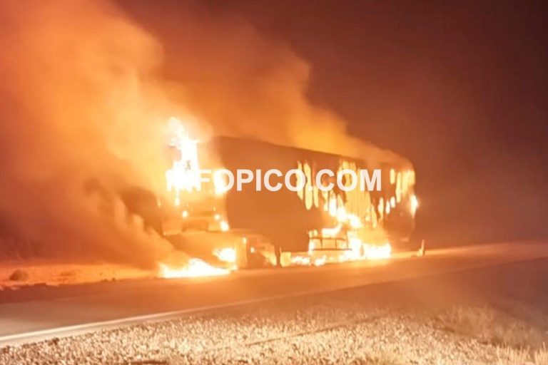 Un camión térmico proveniente de Chile se incendió en la Ruta Nacional 151