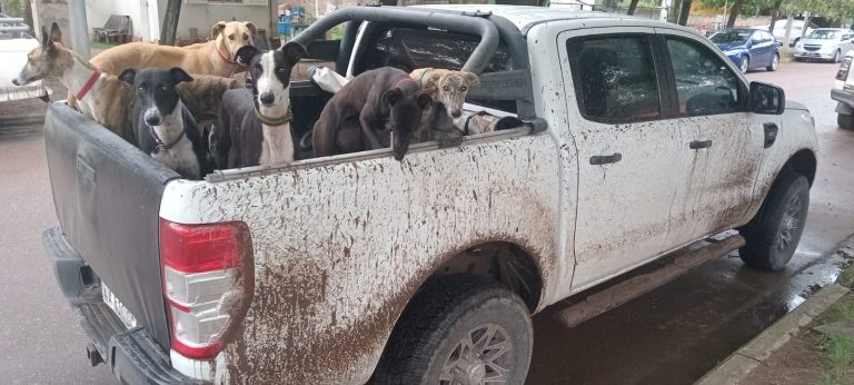 Rápido accionar policial en Maisonave: esclarecen un inusual robo y demoran a cazadores furtivos