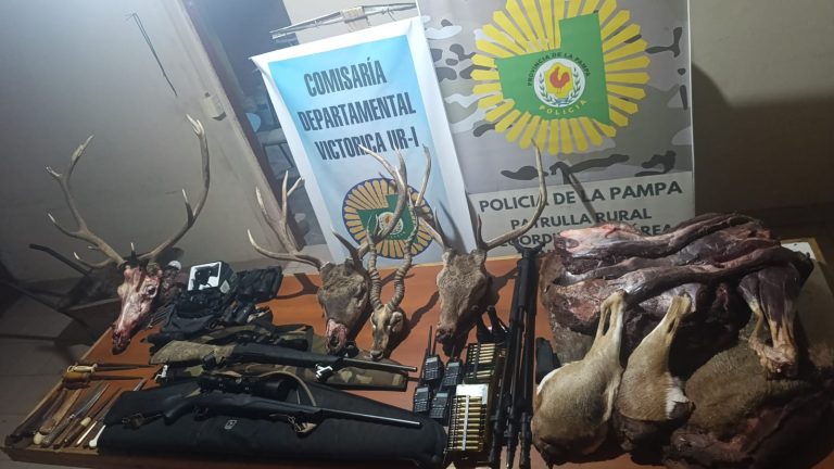 Importantes operativos rurales en el oeste pampeano: secuestran armas, vehículos y trofeos de caza furtiva