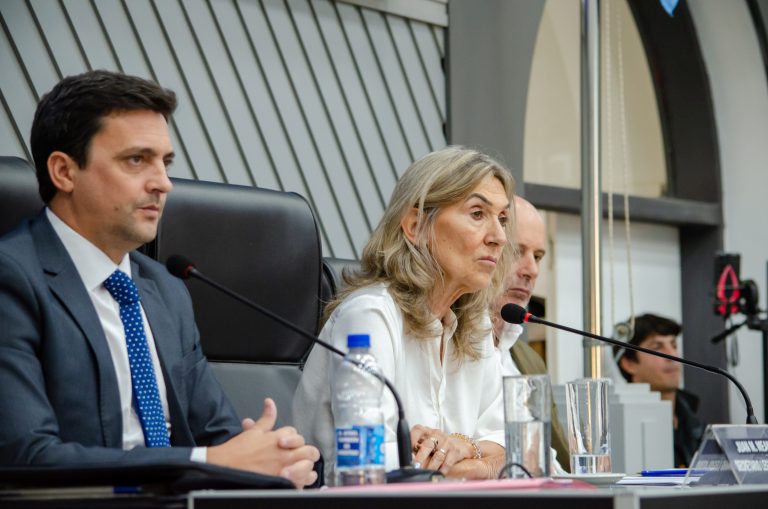 Debate en la Legislatura por el respaldo a un amparo judicial contra la modificación de la Ley de Glaciares