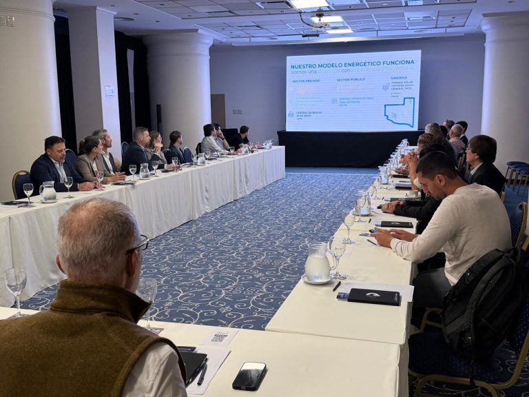 La Pampa presentó la nueva etapa del Parque Solar de General Pico y despertó un fuerte interés en el sector energético