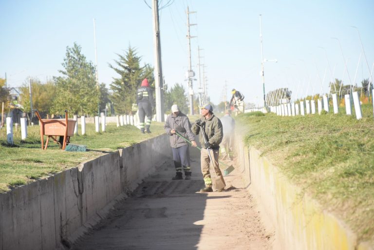 El Municipio realizó un operativo de limpieza y mantenimiento en el barrio Rucci