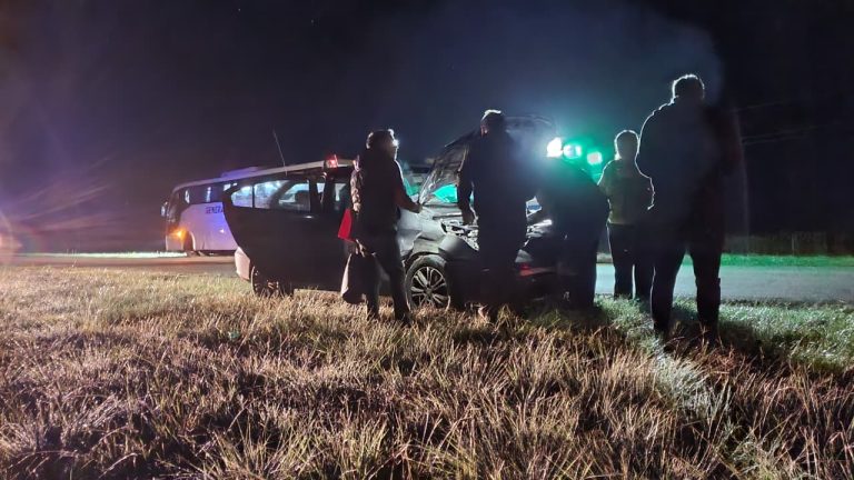 Fuerte choque en la Ruta 101: un taxi y un colectivo embistieron a una vaca y una mujer embarazada fue hospitalizada