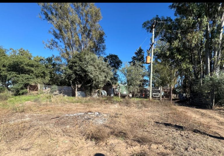 Hallaron a un hombre sin vida en un predio rural cercano a Conhelo: confirmaron que fue por causas naturales