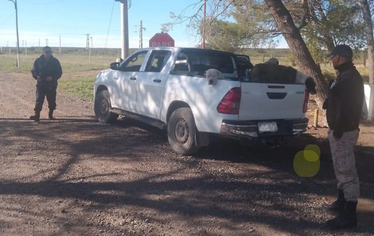 Operativo policial en Pichi Mahuida: demoran a cazadores y secuestran armas blancas