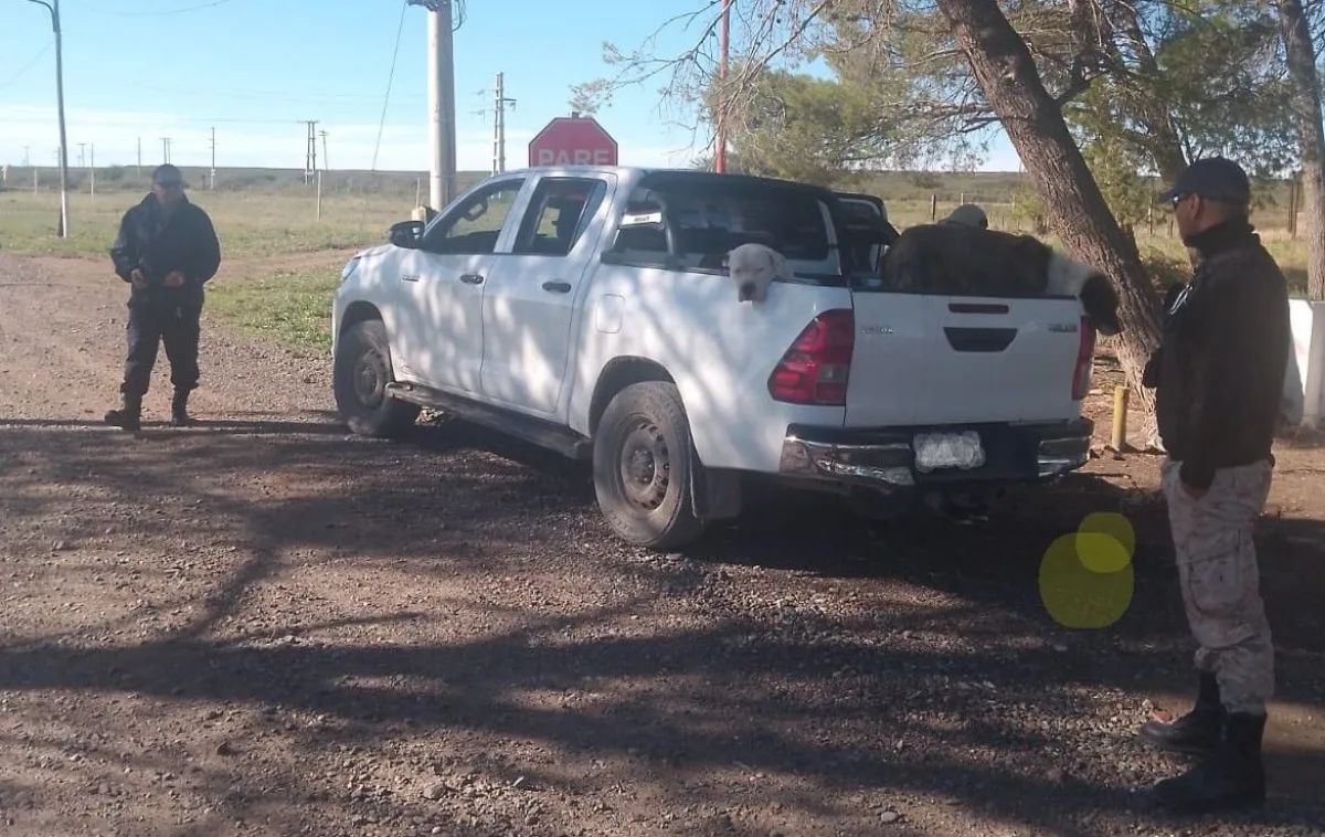 Operativo policial en Pichi Mahuida: demoran a cazadores y secuestran armas blancas