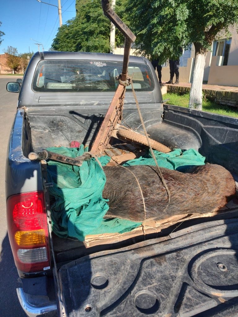 Operativos contra la caza ilegal en Rucanelo: demoran un piquense y otro se encuentra prófugo en el monte