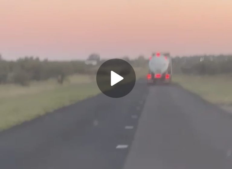 Demoran a camionero en Victorica por alcoholemia, maniobras peligrosas y resistencia a la autoridad
