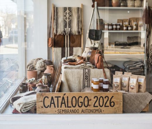 El Gobierno de La Pampa lanzó el Catálogo 2026 para fortalecer la autonomía económica de mujeres y diversidades (Imagen ilustrativa IA - infopico.com)