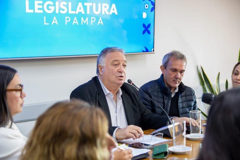 Impulsan la declaración de Emergencia en Salud Mental en La Pampa con dictamen mayoritario