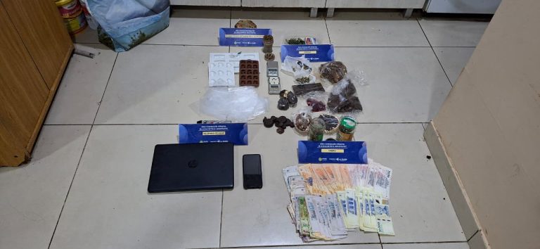 Allanamiento en Santa Rosa: secuestraron hongos alucinógenos y comestibles con cannabis