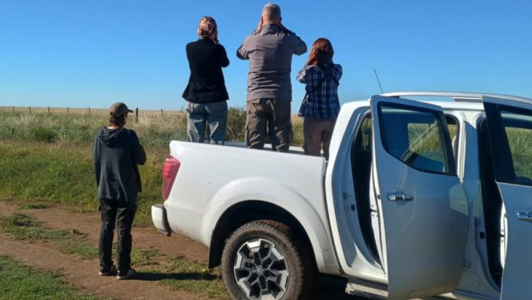 Preocupación por la Loica Pampeana: una campaña de monitoreo en La Pampa no logró hallar ejemplares