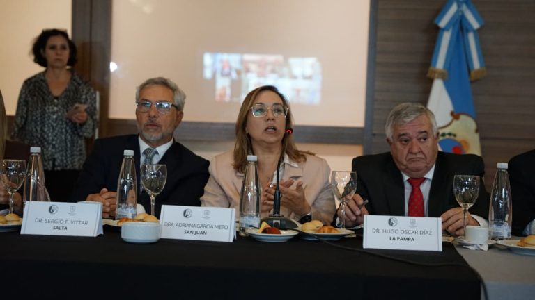 El presidente del STJ pampeano, Hugo Díaz, fue reelecto como tesorero de la Jufejus