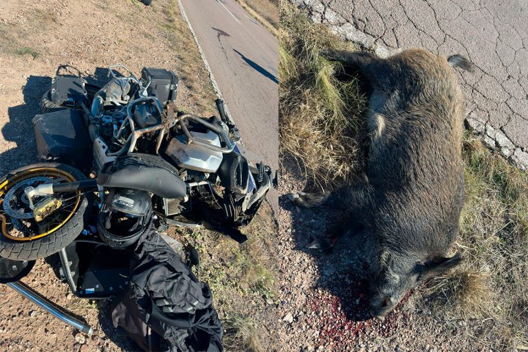 Un motociclista brasileño chocó contra un jabalí en la ruta 152 y fue internado en General Acha