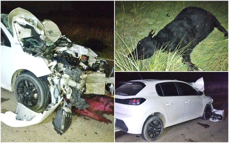 Fuerte choque en la Ruta Nacional 35: un auto embistió a un vacuno y sufrió importantes daños