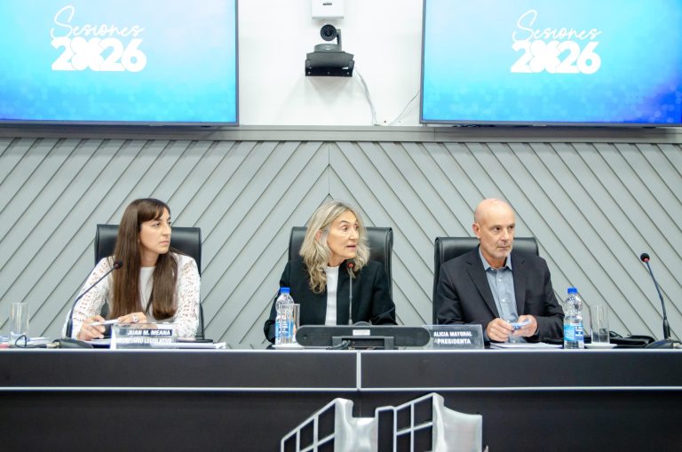 Es ley el llamado a licitación del área hidrocarburífera El Medanito