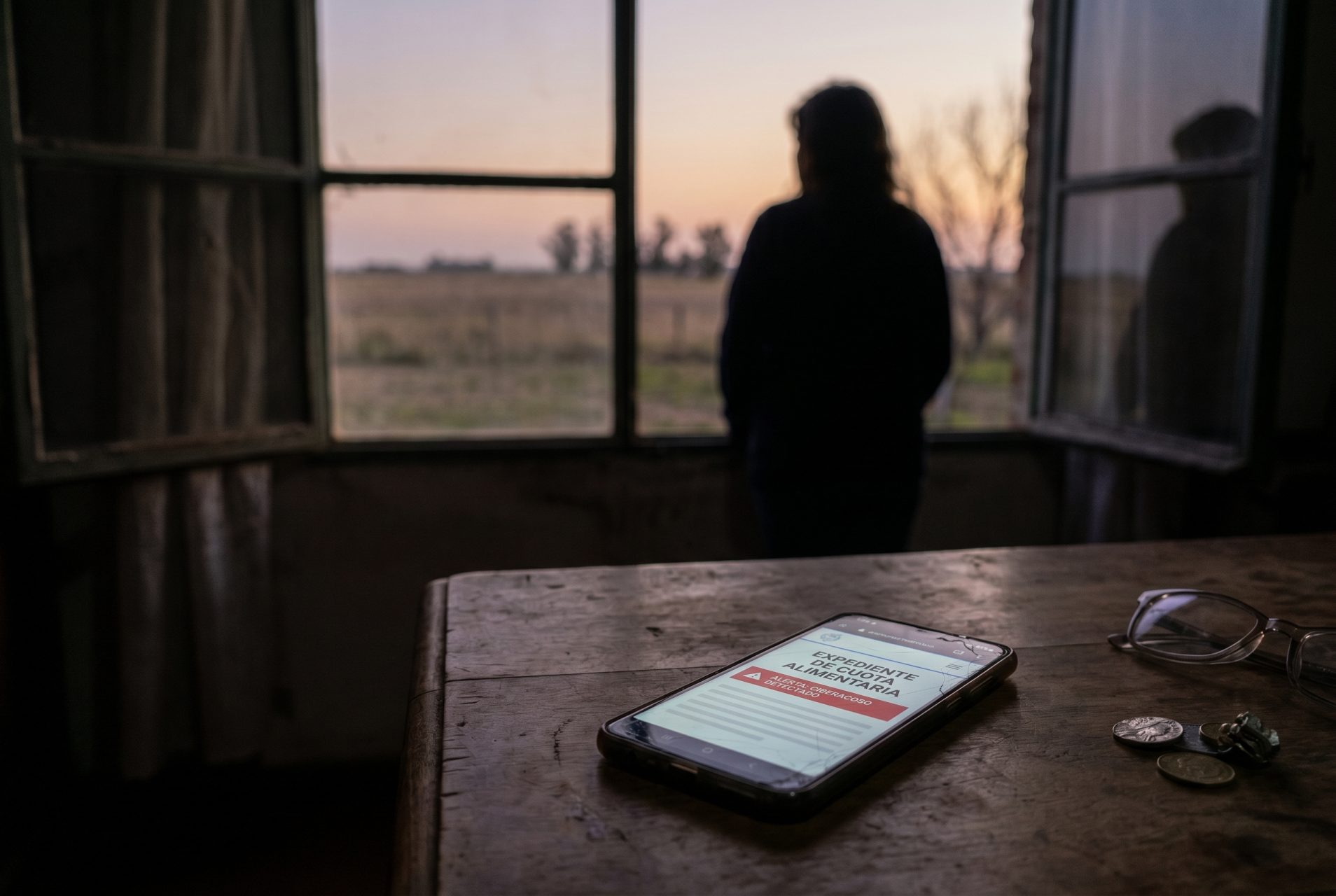 Violencia digital y cuotas alimentarias impagas: la otra cara de la desigualdad en La Pampa