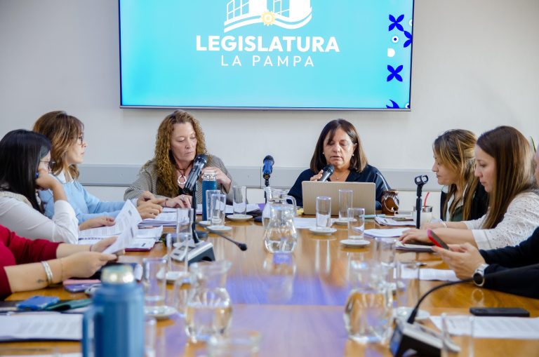 Avanzan en la Legislatura pampeana pedidos de informe sobre bancos de sangre y proyectos ambientales