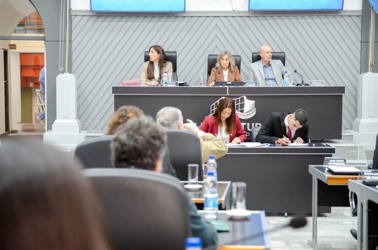 Tras un intenso debate, La Pampa tiene ley de emergencia en Salud Mental y Adicciones