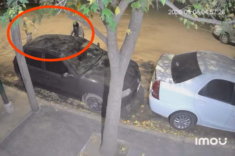Delincuentes robaron pertenencias de un auto e intentaron abrir otros vehículos durante la madrugada