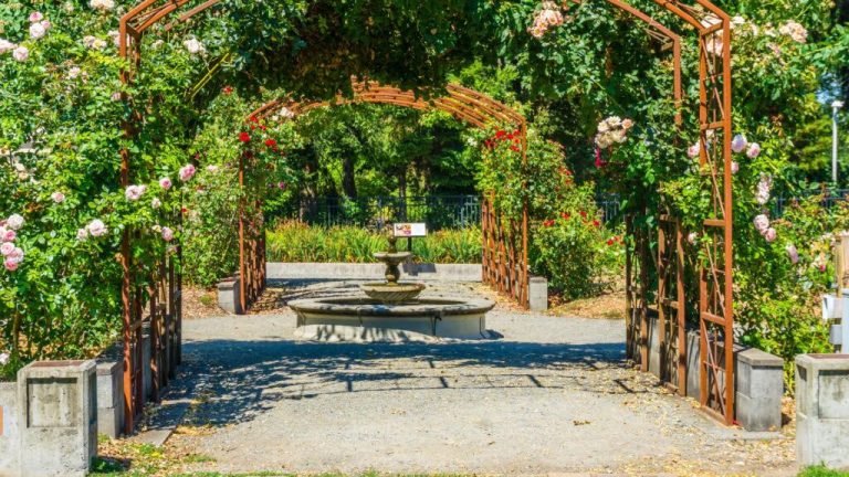 Para los amantes del Jardin: como crear una glorieta que robe todas las miradas
