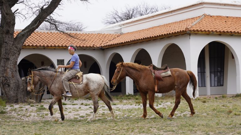 Turismo rural en La Pampa: una guía con 17 propuestas para desconectar y vivir la experiencia del campo