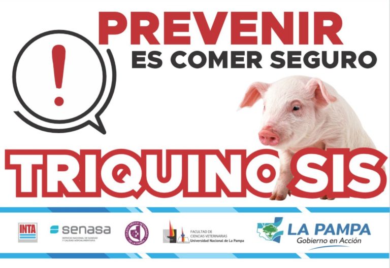 Detectan un caso de triquinosis en un cerdo en Santa Rosa y emiten recomendaciones para la prevención
