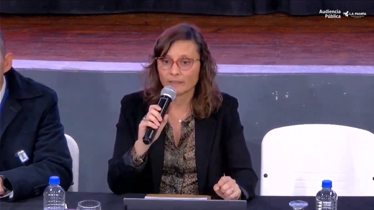 Analizan en audiencia pública el plan de remediación ambiental para el área hidrocarburífera El Medanito