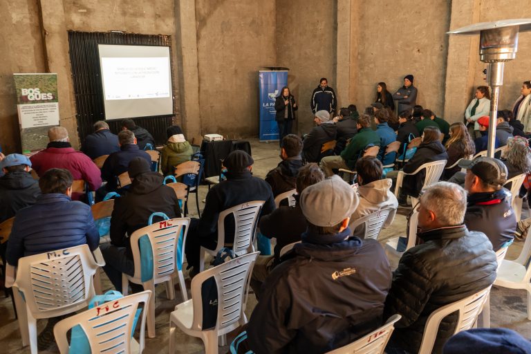 Impulsan el manejo del bosque nativo para potenciar la producción ganadera en Caleufú