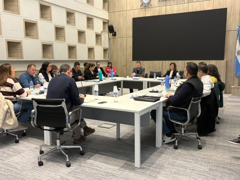Avanza la licitación del área El Medanito: la comisión multisectorial aprobó su reglamento interno