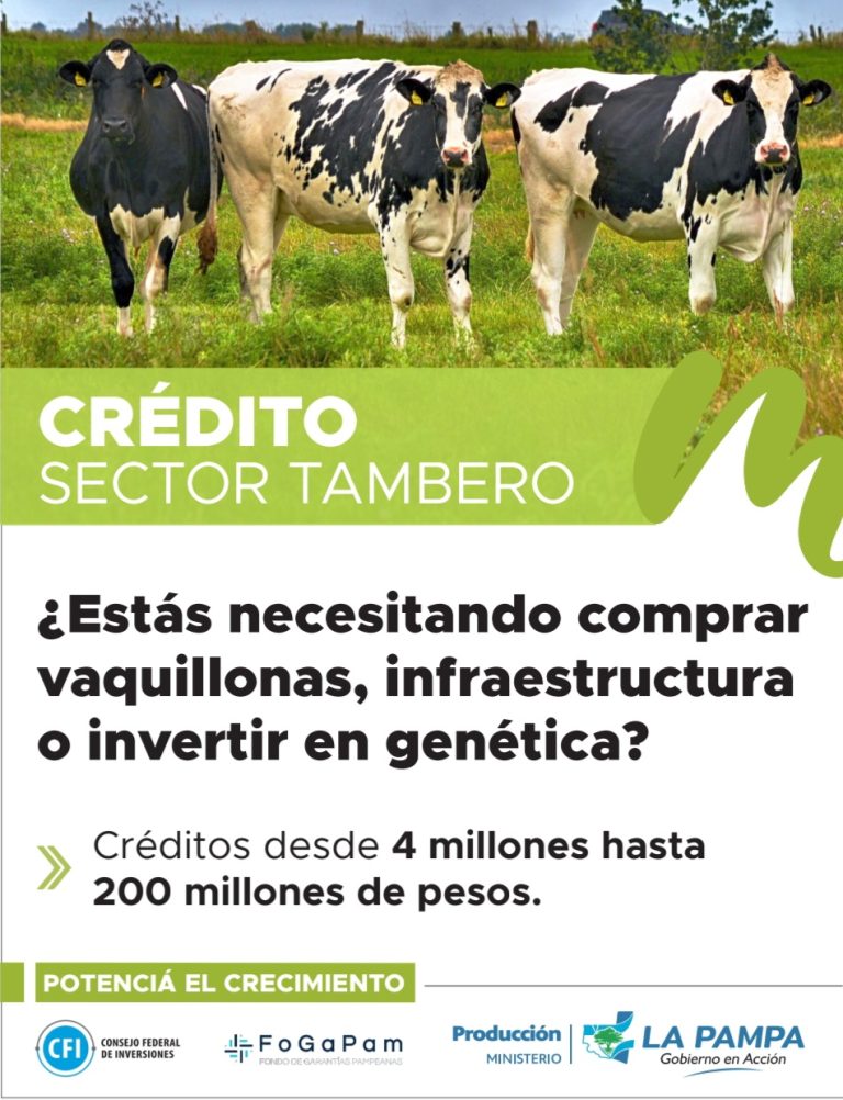Impulso al sector lechero: lanzan créditos de hasta $200 millones para tamberos pampeanos