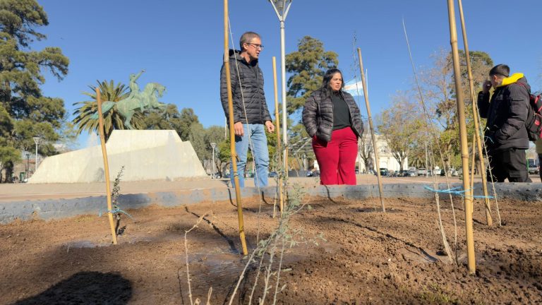 Finalizó la puesta en valor del arbolado de la Plaza San Martín en General Pico