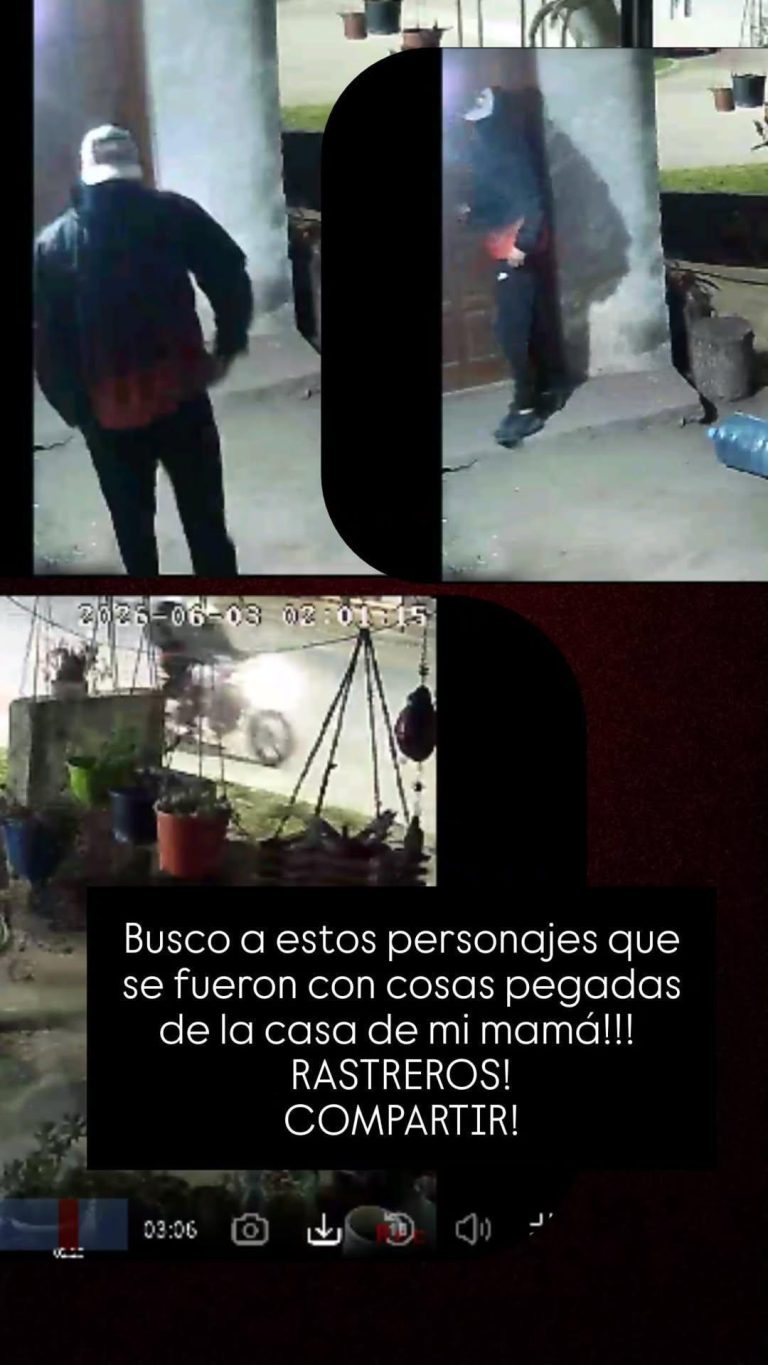 Robo en una vivienda de calles 302 y 331 bis: una cámara de seguridad grabó al delincuente